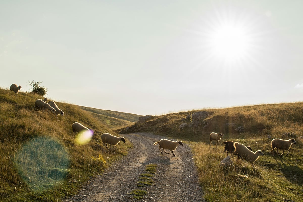 2026 Environmental Statement 