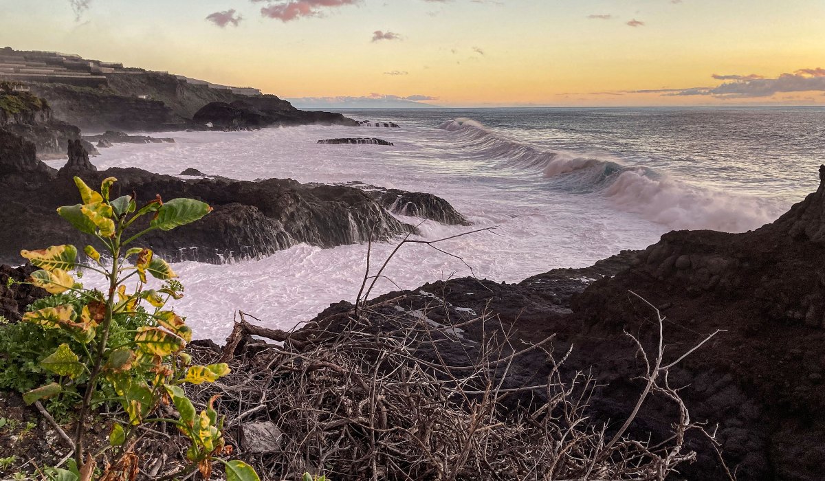 Canary Island Beach