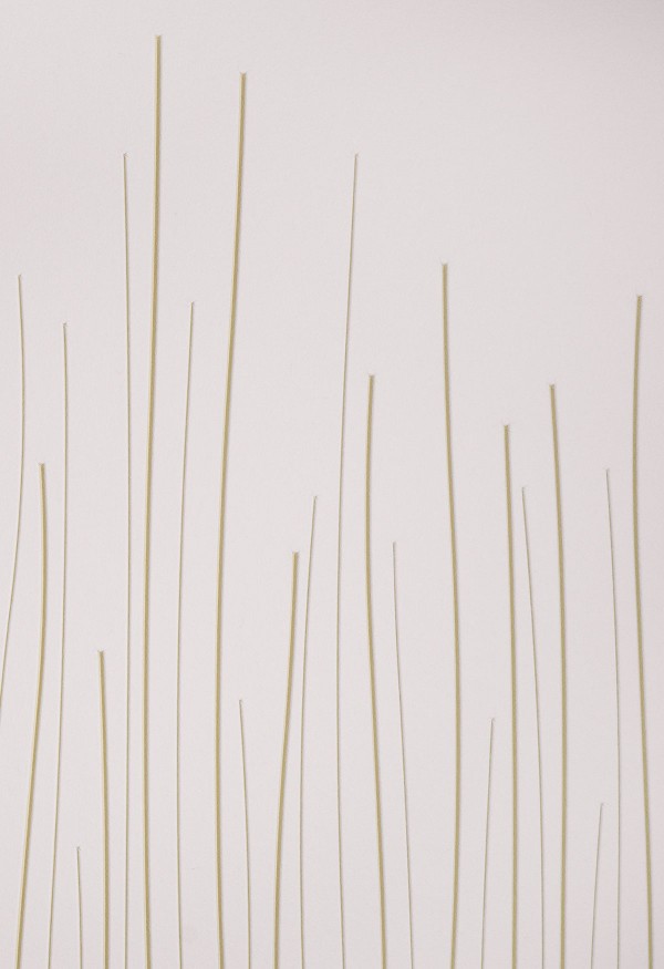 Reeds detail