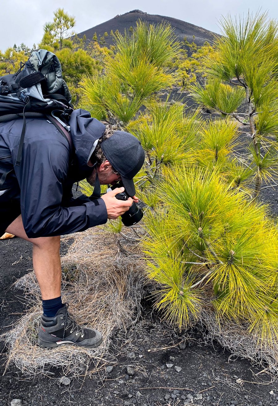 Behind the Design of Grain and Reeds - FilzFelt