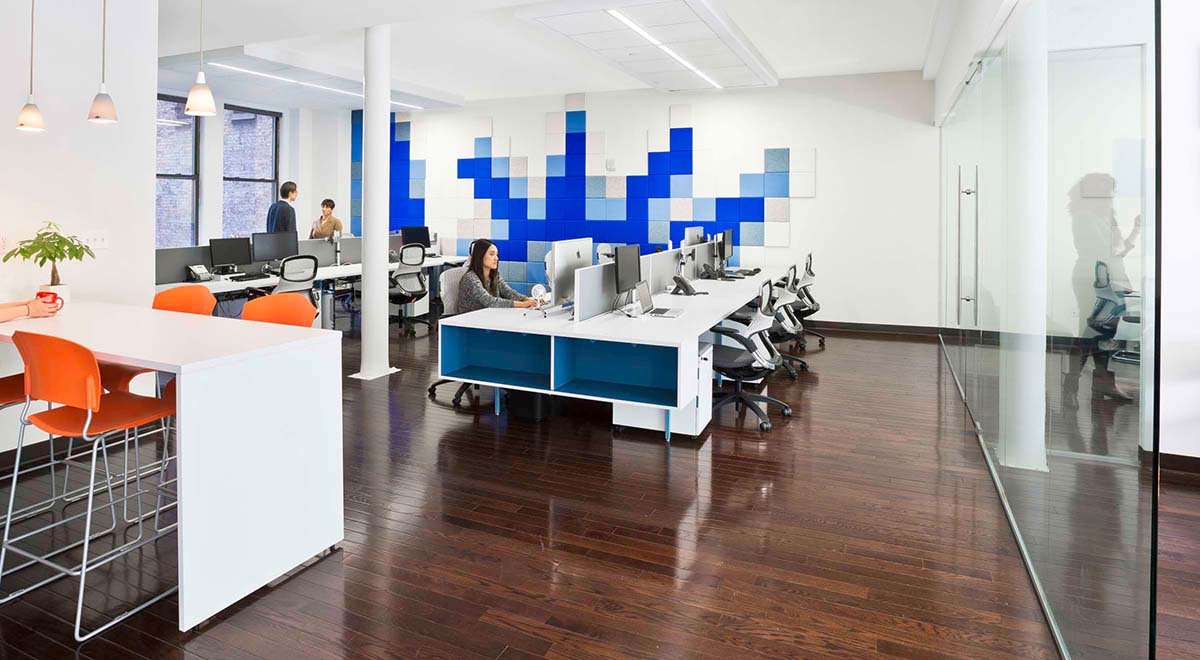 Dailymotion with blue custom wall install 