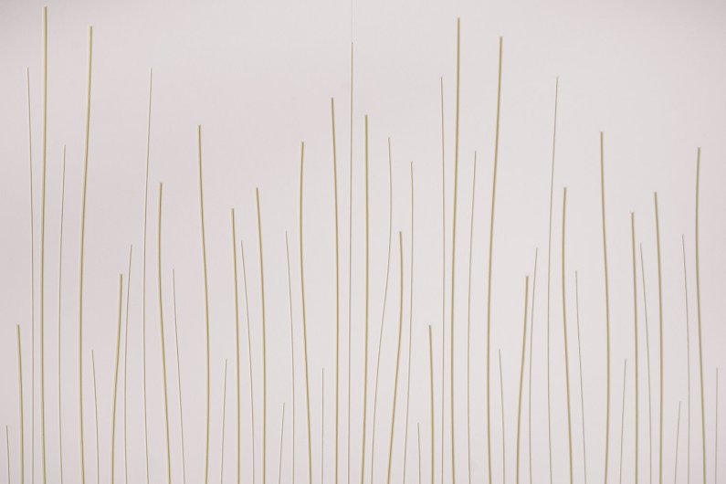 Reeds in 100 Wollweiß and Kartause