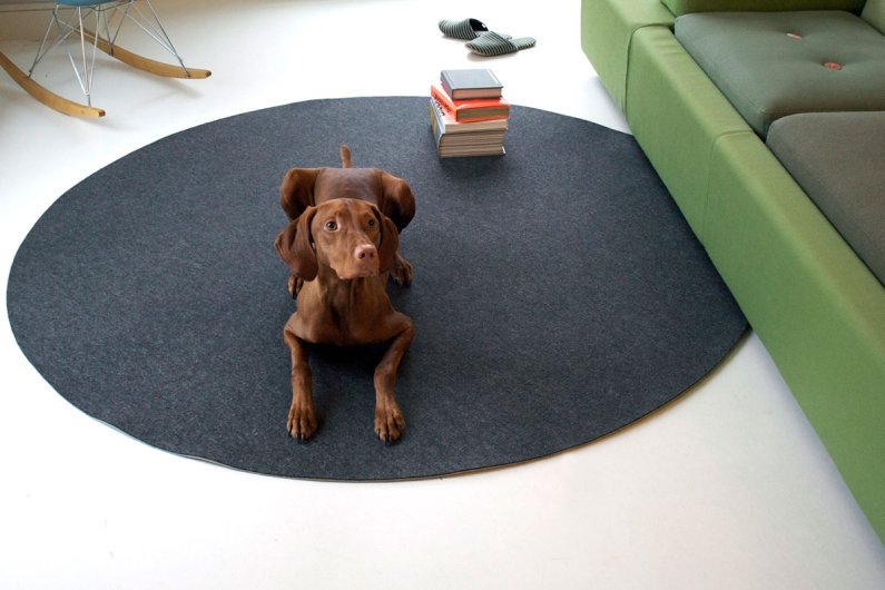 Circle Floor Mat with Dog